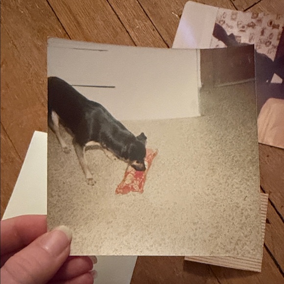 Vintage Photo Collection - Picture 4 of 11